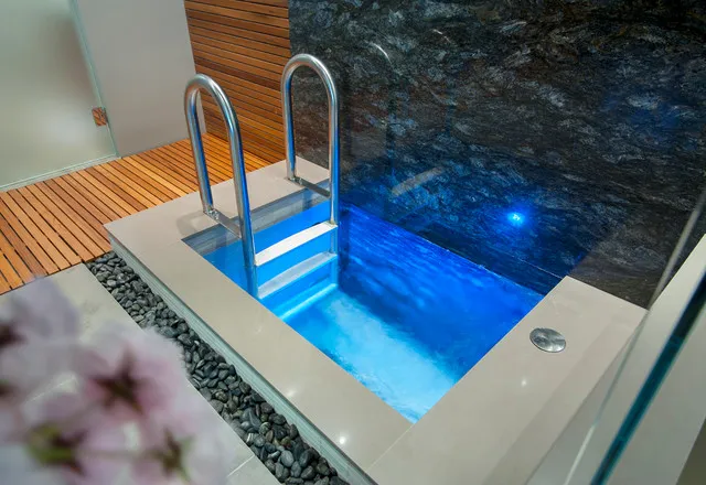 Modern cold plunge pool